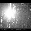 DSC_ARS